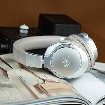 Amazon.co.jp: Linsoul Kiwi Ears Division大型40mmダイナミック振動板